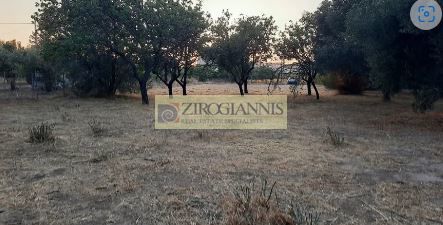 Parcel 1.574sqm for sale-Palaia Fokaia