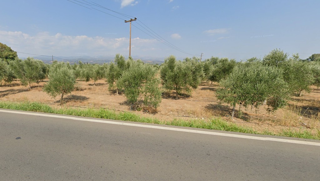 Αγροτεμάχια 50.000 τ.μ. προς πώληση, Τραπεζαντή