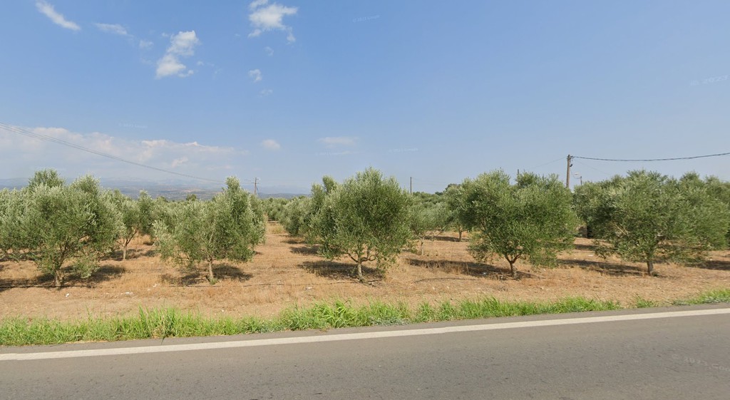 Αγροτεμάχια 50.000 τ.μ. προς πώληση, Τραπεζαντή