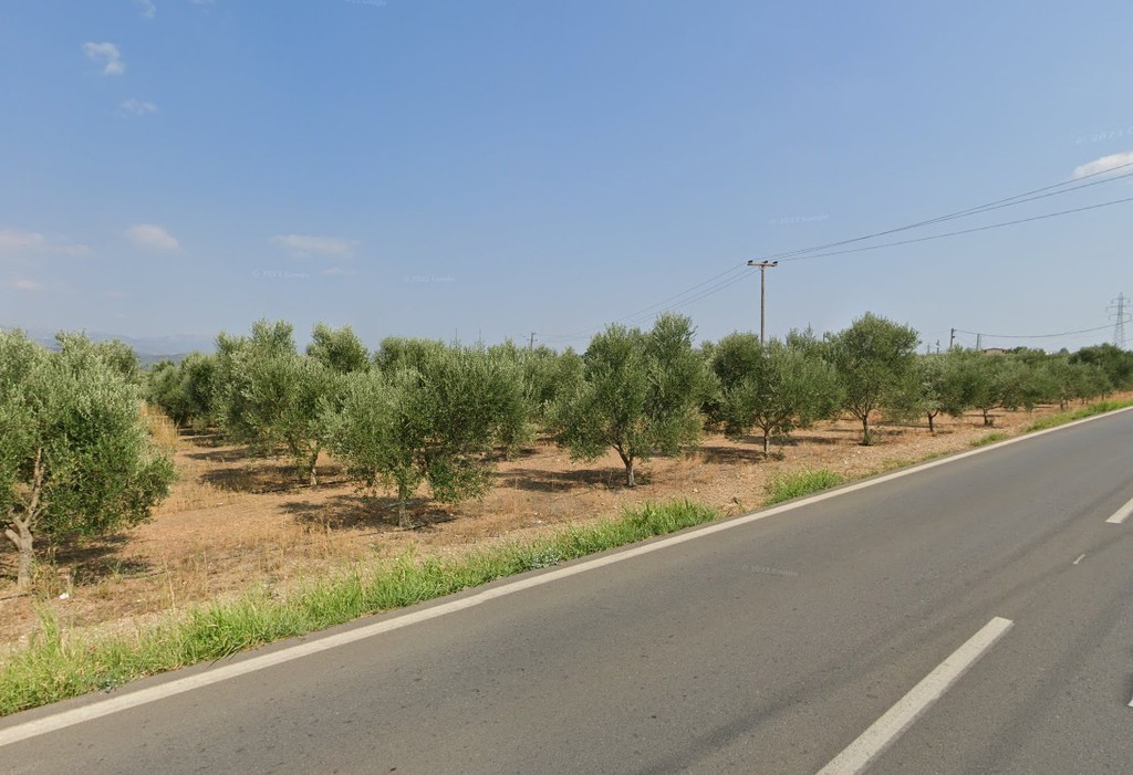 Αγροτεμάχια 50.000 τ.μ. προς πώληση, Τραπεζαντή
