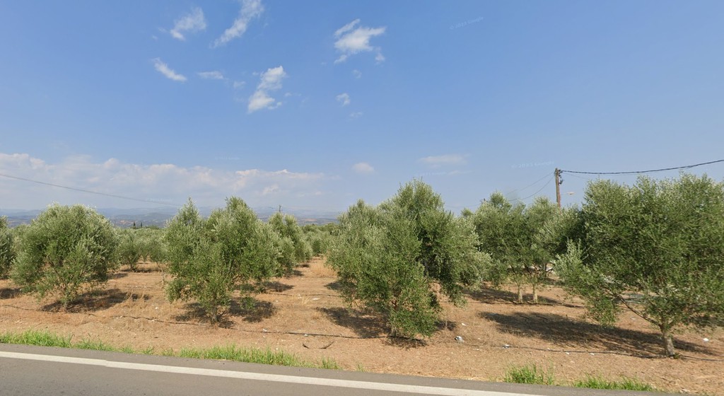 Αγροτεμάχια 50.000 τ.μ. προς πώληση, Τραπεζαντή
