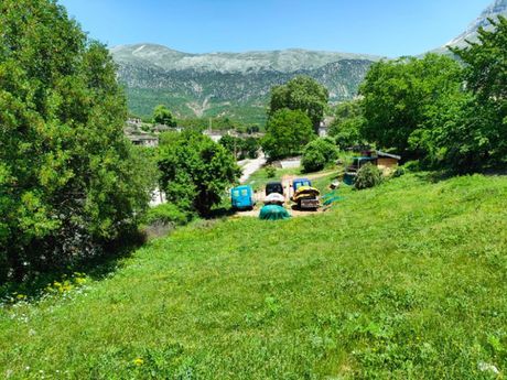 Οικόπεδο 1.366τ.μ. για πώληση-Πάπιγκο
