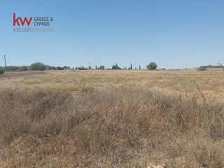 Αγροτεμάχια 8.237 τ.μ. για πώληση