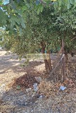 Οικόπεδο 489 τ.μ. για πώληση