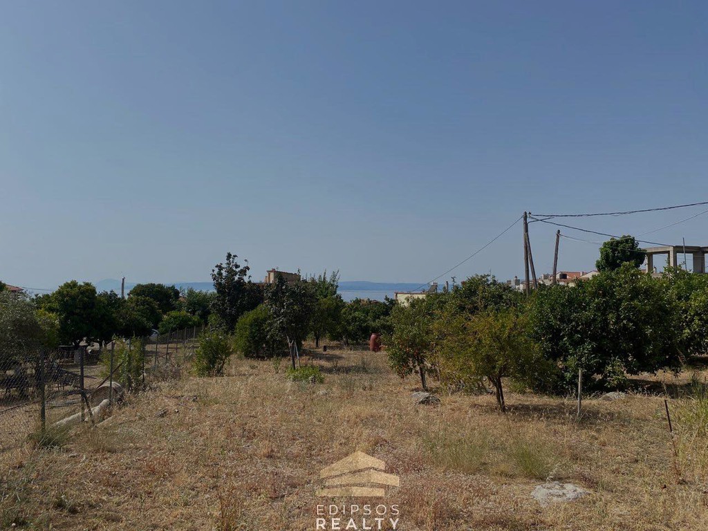 Οικόπεδο 1.242 τ.μ. προς πώληση, Ήλια Αιδηψού
