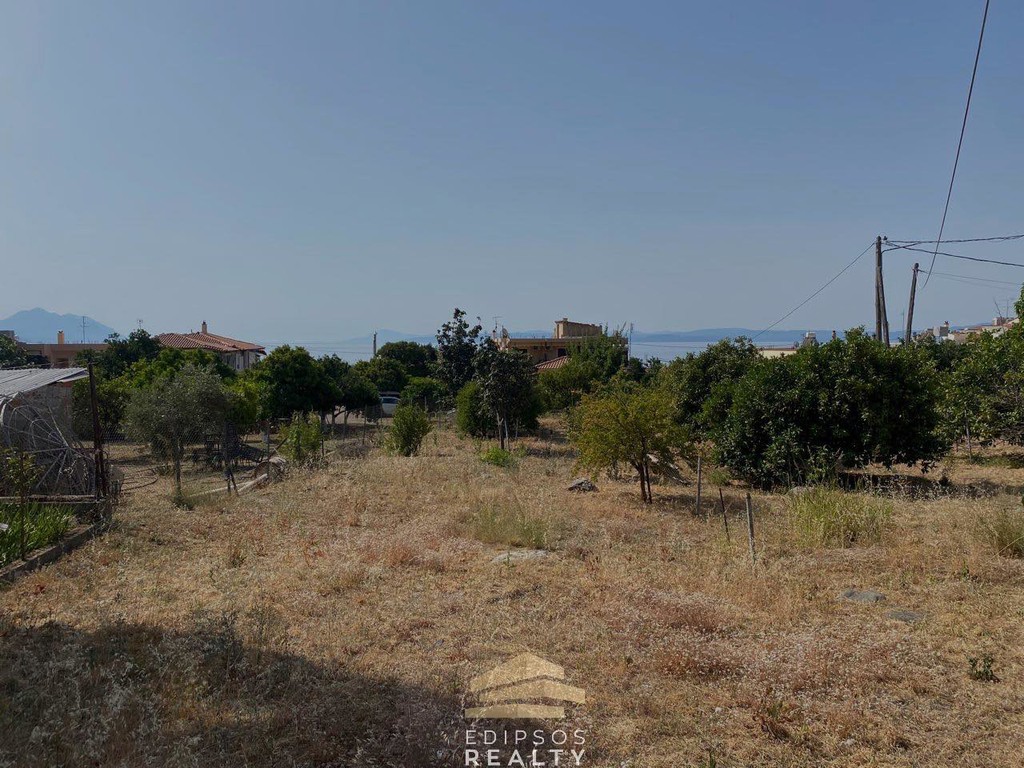 Οικόπεδο 1.242 τ.μ. προς πώληση, Ήλια Αιδηψού