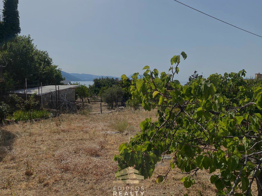 Οικόπεδο 1.242 τ.μ. προς πώληση, Ήλια Αιδηψού