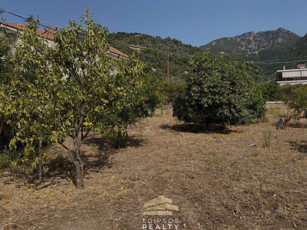 Οικόπεδο 1.242 τ.μ. προς πώληση, Ήλια Αιδηψού