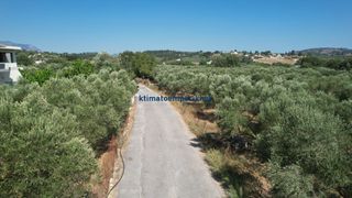 Οικόπεδο 4.152 τ.μ. για πώληση, Ν. Χανίων, Κρυονερίδα-thumb-7
