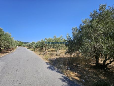 Οικόπεδο 4.152τ.μ. για πώληση-Κρυονερίδα