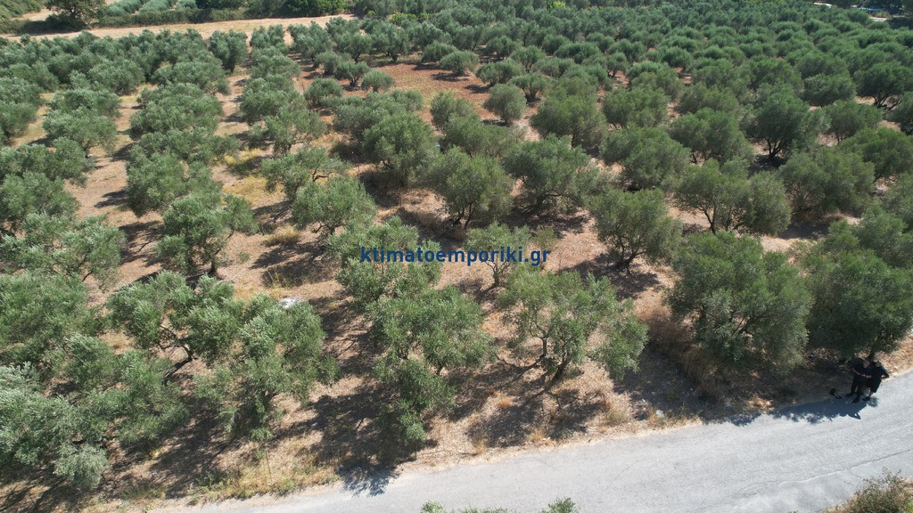 Land plot 4.152 sqm for sale, Krionerida