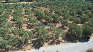 Οικόπεδο 4.152 τ.μ. για πώληση, Ν. Χανίων, Κρυονερίδα-thumb-2