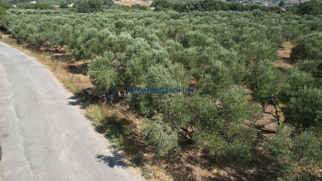 Land plot 4.152 sqm for sale, Krionerida