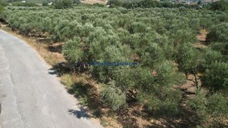Οικόπεδο 4.152 τ.μ. για πώληση, Ν. Χανίων, Κρυονερίδα-thumb-4