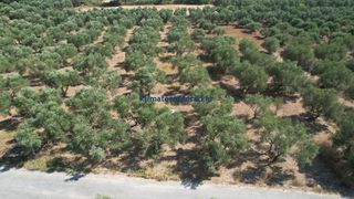Οικόπεδο 4.152 τ.μ. για πώληση, Ν. Χανίων, Κρυονερίδα-thumb-1