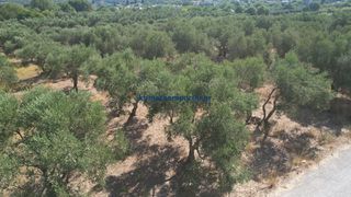 Οικόπεδο 4.152 τ.μ. για πώληση, Ν. Χανίων, Κρυονερίδα-thumb-3