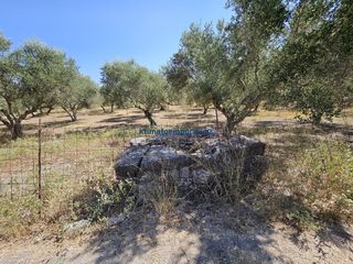 Οικόπεδο 4.152 τ.μ. για πώληση, Ν. Χανίων, Κρυονερίδα-thumb-9