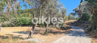 Οικόπεδο 1.700 τ.μ. για πώληση, Ν. Χίου, Χίος-thumb-3