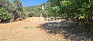 Οικόπεδο 1.700 τ.μ. για πώληση, Ν. Χίου, Χίος-thumb-5