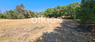 Οικόπεδο 1.700 τ.μ. για πώληση, Ν. Χίου, Χίος-thumb-21