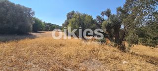 Οικόπεδο 1.700 τ.μ. για πώληση, Ν. Χίου, Χίος-thumb-7