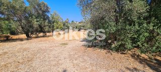 Οικόπεδο 1.700 τ.μ. για πώληση, Ν. Χίου, Χίος-thumb-15