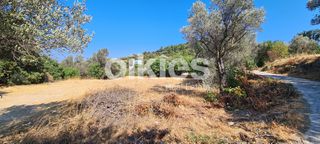 Οικόπεδο 1.700 τ.μ. για πώληση, Ν. Χίου, Χίος-thumb-4