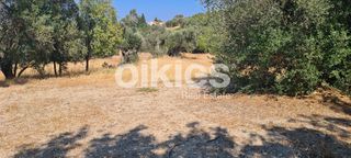 Οικόπεδο 1.700 τ.μ. για πώληση, Ν. Χίου, Χίος-thumb-17