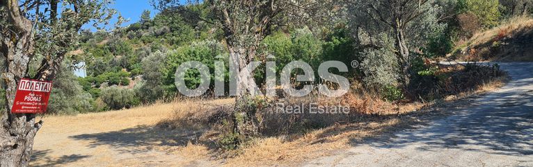 Οικόπεδο 1.700 τ.μ. για πώληση, Ν. Χίου, Χίος