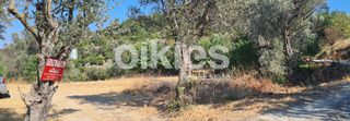 Οικόπεδο 1.700 τ.μ. για πώληση, Ν. Χίου, Χίος-thumb-1