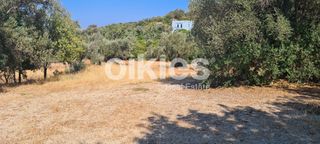 Οικόπεδο 1.700 τ.μ. για πώληση, Ν. Χίου, Χίος-thumb-18