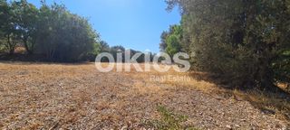 Οικόπεδο 1.700 τ.μ. για πώληση, Ν. Χίου, Χίος-thumb-10