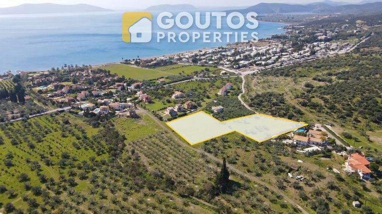 Αγροτεμάχια 8.070 τ.μ. για πώληση, Αργολίδα, Ερμιόνη