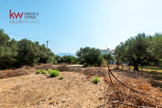 Οικόπεδο 824 τ.μ. για πώληση, Αχαΐα, Ερίνεο-thumb-8