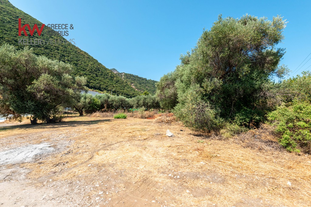 Οικόπεδο 824 τ.μ. προς πώληση, Ροδινή