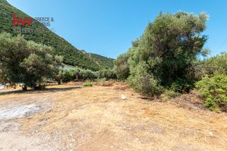 Οικόπεδο 824 τ.μ. για πώληση, Αχαΐα, Ερίνεο-thumb-3