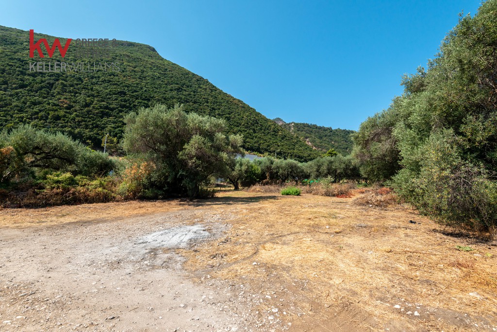 Οικόπεδο 824 τ.μ. προς πώληση, Ροδινή