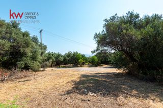 Οικόπεδο 824 τ.μ. για πώληση, Αχαΐα, Ερίνεο-thumb-6