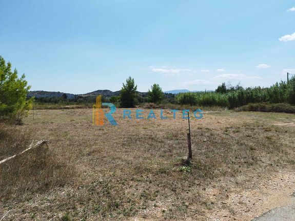 Οικόπεδο 1.300 τ.μ. για πώληση, Αθήνα - Ανατολικά Προάστια, Παλλήνη