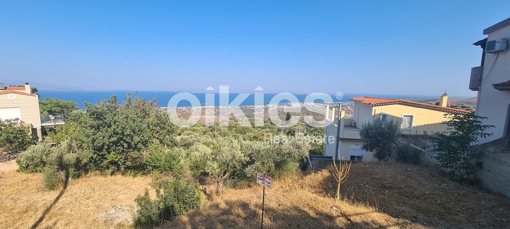 Οικόπεδο 310 τ.μ. προς πώληση, Χίος