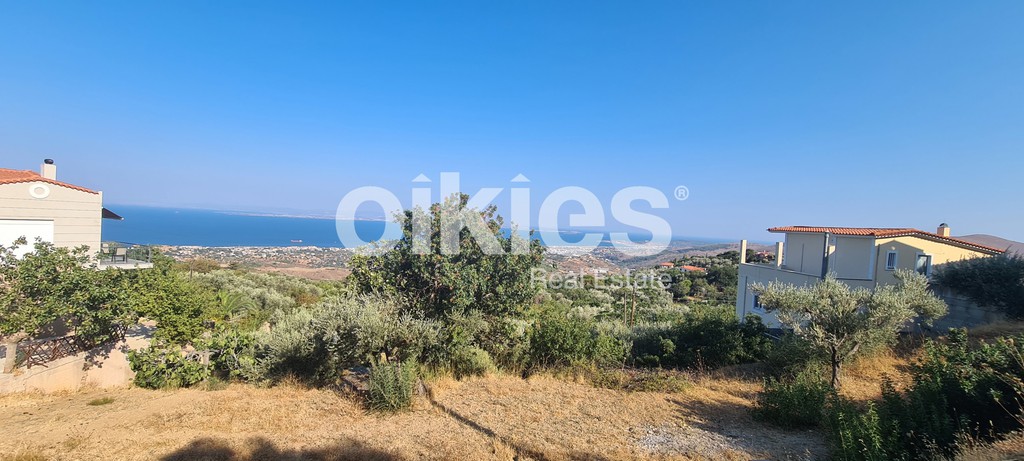 Οικόπεδο 310 τ.μ. προς πώληση, Χίος