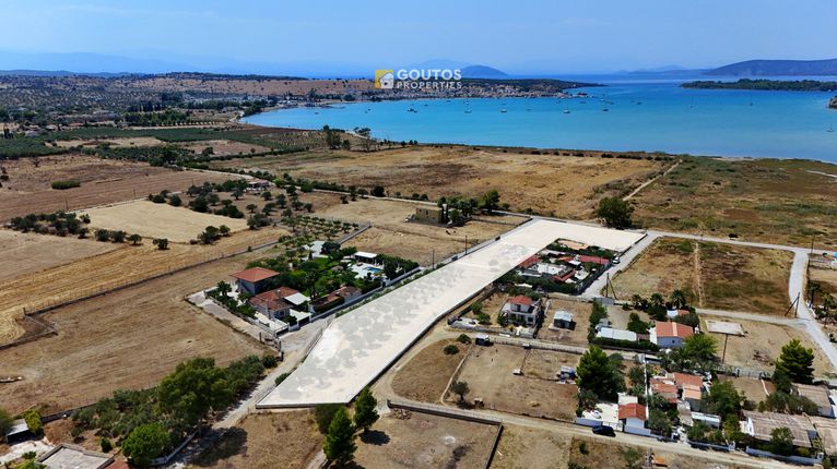 Οικόπεδο 6.000 τ.μ. για πώληση, Αργολίδα, Κρανίδι