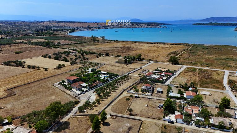 Οικόπεδο 6.000 τ.μ. για πώληση, Αργολίδα, Κρανίδι