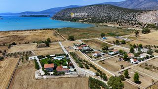 Οικόπεδο 6.000 τ.μ. για πώληση, Αργολίδα, Κρανίδι-thumb-19