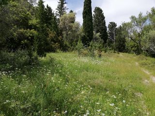 Αγροτεμάχια 2.243 τ.μ. για πώληση, Ν. Λευκάδας, Λευκάδα-thumb-3