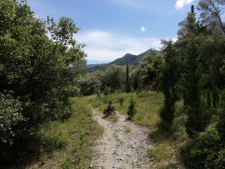 Αγροτεμάχια 2.243 τ.μ. για πώληση, Ν. Λευκάδας, Λευκάδα-thumb-2