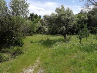 Αγροτεμάχια 2.243 τ.μ. για πώληση, Ν. Λευκάδας, Λευκάδα-thumb-5