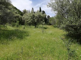 Αγροτεμάχια 2.243 τ.μ. για πώληση, Ν. Λευκάδας, Λευκάδα-thumb-1