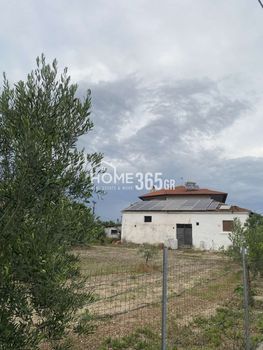Μονοκατοικία 114τ.μ. για πώληση-Θέρμη » Βασιλικά