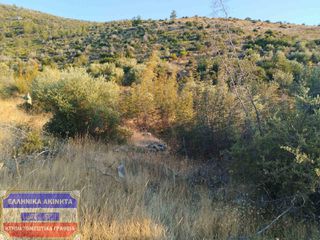 Οικόπεδο 5.000 τ.μ. για πώληση, Ν. Καβάλας, Θάσος-thumb-2